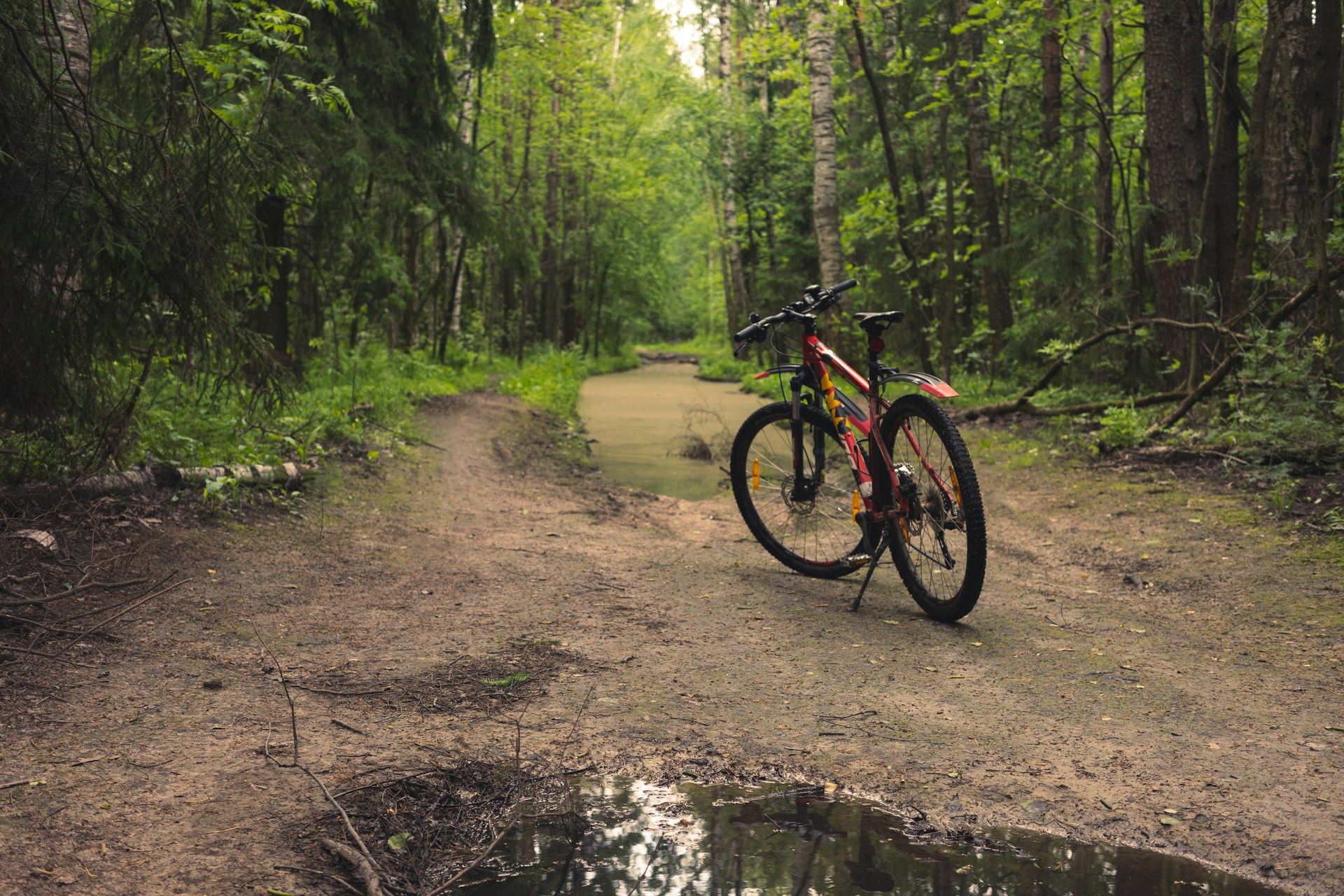 Chagga Live Museum - Traditional outdoor exhibits