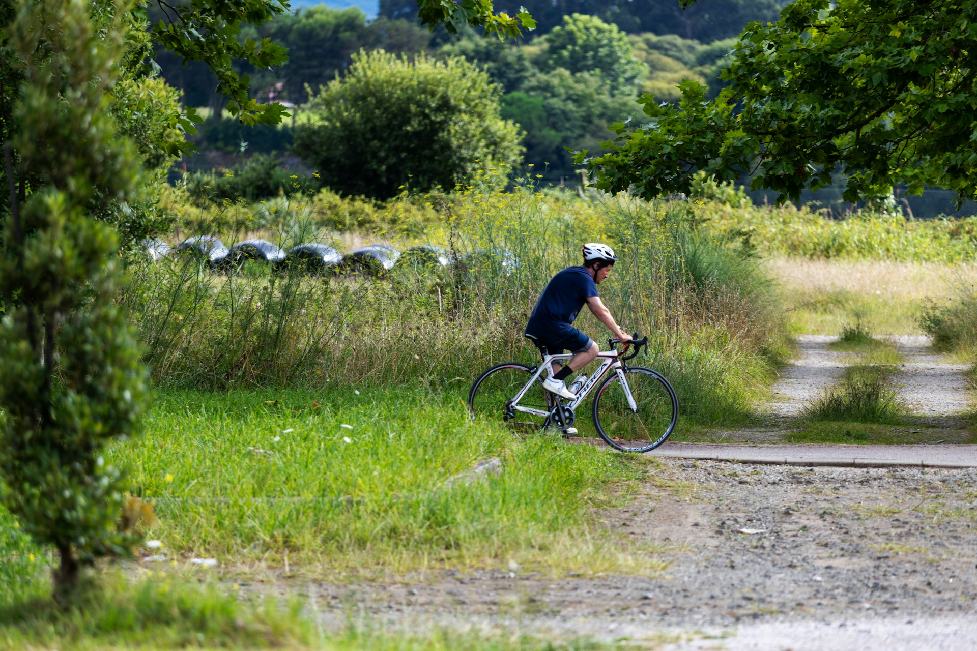 Sugar cane plantation cycling trails