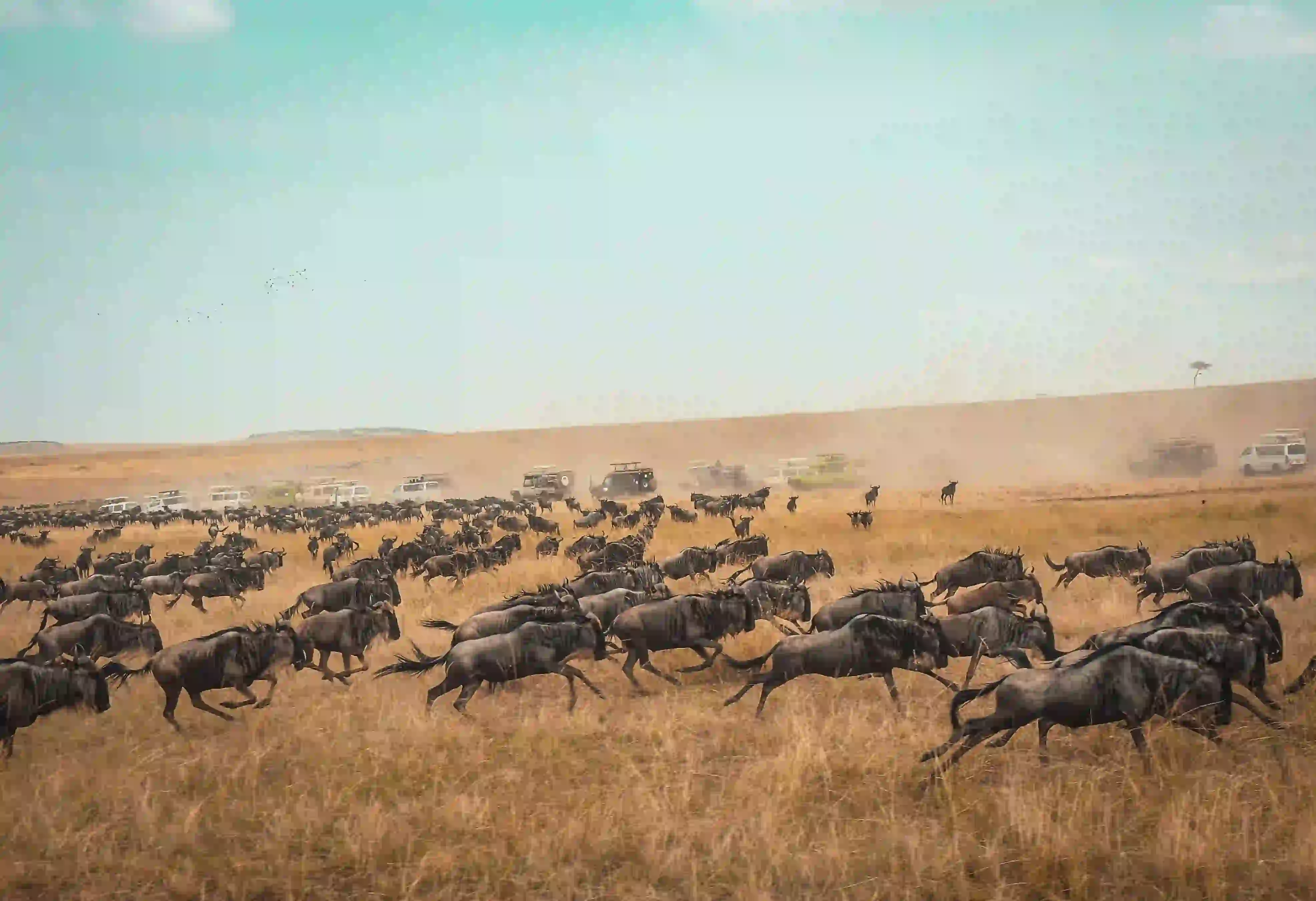 5 Day Extended Northern Circuit