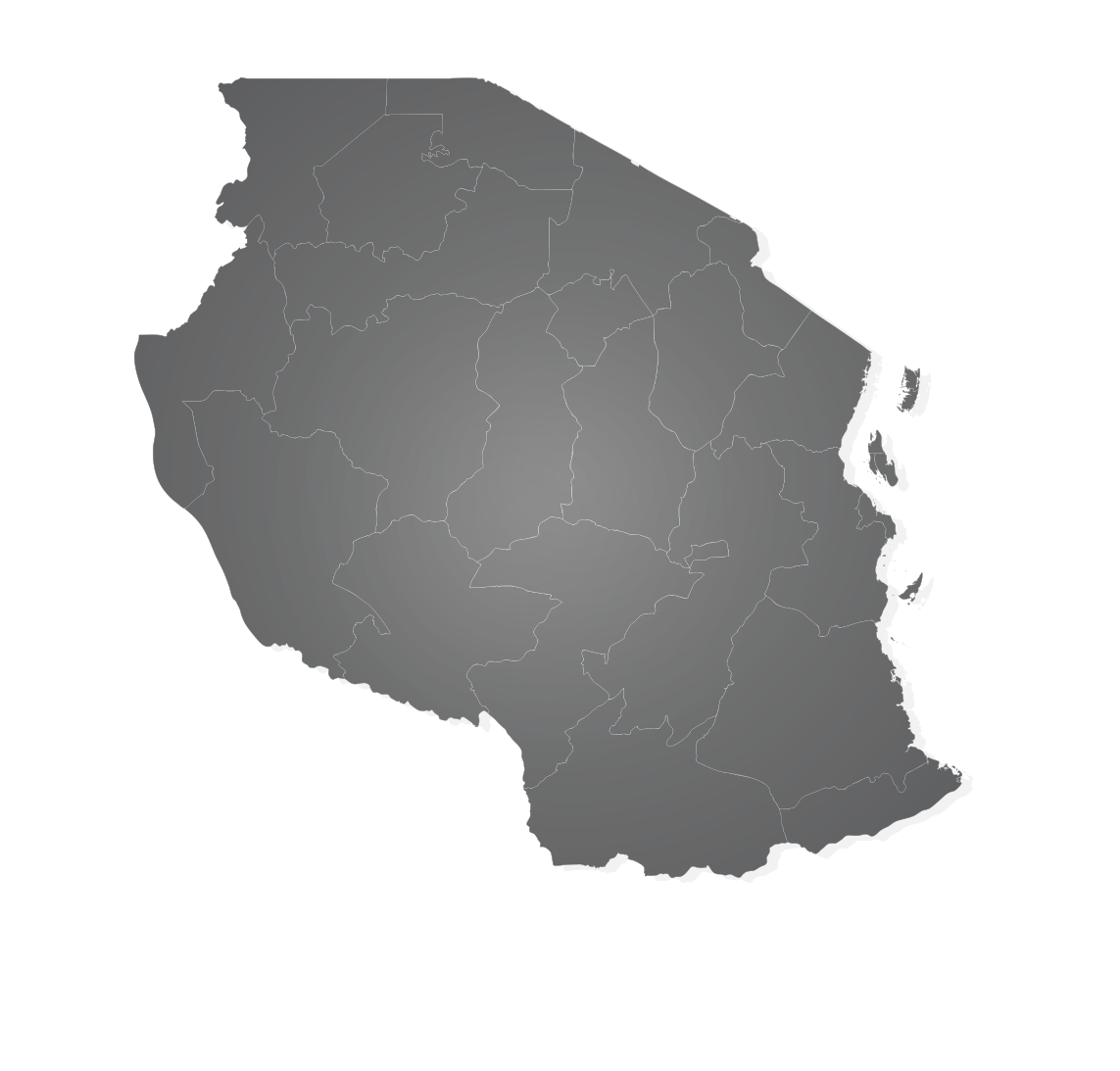 Best Time for Safari