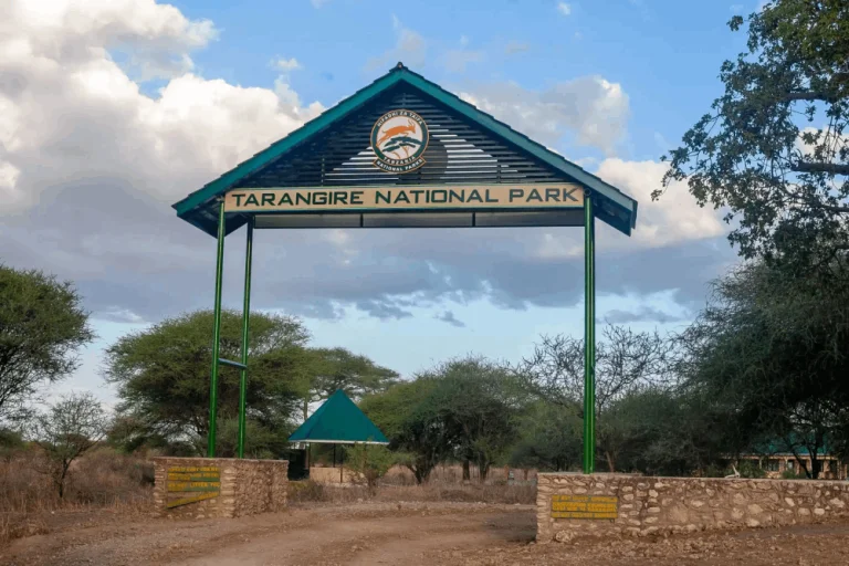 2 Day Tarangire & Ngorongoro
